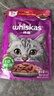 伟嘉主食猫罐头软包 猫主食餐包湿粮 进口成猫妙鲜包85g*24混合味 实拍图