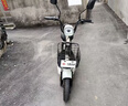 驰小虎电动自行车 如意虎新国标电动车电动自行车48V20Ah电池长续航电瓶车代步车电车家用成人电车白 实拍图