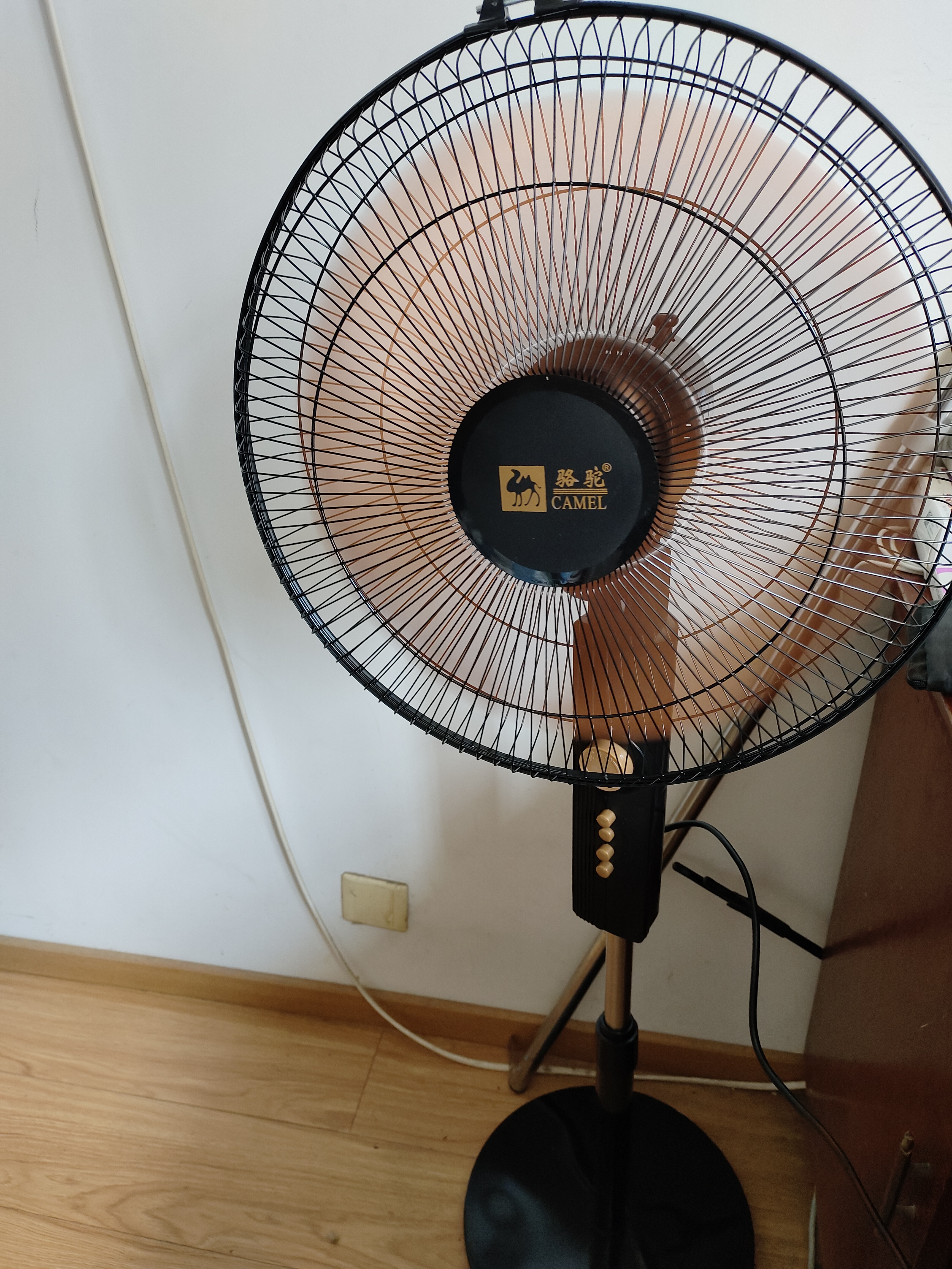 骆驼电风扇家用落地扇大风力轻音节能省电扇摇头机械定时台立两用办公室宿舍卧室工业电扇 16英寸机械款【铝叶】-定时-重底盘 实拍图