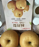 京鲜生安徽砀山新玉梨净重4.5斤 单果250g+ 新鲜水果 清凉补水 源头直发 实拍图
