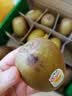 佳沛（zespri）新西兰 阳光金奇异果12粒特大果单果124-146g 猕猴桃水果礼盒 实拍图