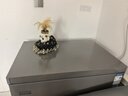 容声200L单温冰柜小型家用冷柜冷藏冷冻两用一级能效节能-35℃深冷减霜80%BD/BC-200ZMSA国家补贴 实拍图