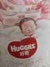 好奇（Huggies）皇家小龙裤纸尿裤M92片(6-11kg)尿不湿【柔吸防漏王】 实拍图