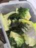 乐扣乐扣塑料保鲜盒密封便当盒饭盒冰箱收纳盒食品储物盒餐盒1.4L 实拍图