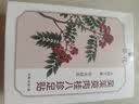 葵花三伏天儿童成人中药脾胃虚寒肚脐吴茱萸肉桂元气茯苓八珍三伏足贴 实拍图