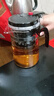 飘逸壶泡茶壶耐热高温玻璃沏茶过滤内胆冲茶器家用茶具套装 飘逸杯500mL1个 实拍图
