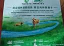 伊利金典双限定娟姗纯牛奶锡林郭勒牧场250ml*12 5月 实拍图