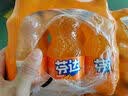 可口可乐（Coca-Cola）檀健次代言雪碧 Sprite 柠檬味 碳酸饮料 300ml*12瓶 整箱装 实拍图