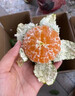 京觅江西寻乌蜜桔4.5斤净重单果60mm+橘子当季青皮青桔蜜水果源头直发 实拍图