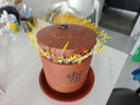田园梦生豆芽机家用全自动紫砂豆芽罐豆芽发芽神器食品级发花生芽胖豆芽 大号紫砂豆芽罐（每年送麦饭石） 实拍图