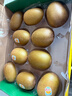 佳沛（zespri）新西兰阳光金奇异果10粒巨大果单果146-175g 猕猴桃水果礼盒 实拍图