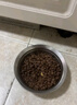 网易严选全价猫粮4.0成幼猫三文鱼亮毛养胃深海鱼虾1.8kg*6袋【宠物金选】 实拍图