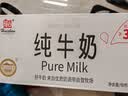 辉山自有牧场纯牛奶250ml*24盒 3.1g乳蛋白 100mg钙  营养牛奶 实拍图