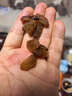 十里馋新疆吐鲁番特产葡萄干绿香妃2025新货免洗即食无添加干果独立包装 500g绿香妃+500g红香妃 实拍图