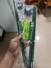 绿园匠花卉爬藤架植物防倒伏支撑杆玻纤固定盆栽护花叶花支架48厘米10支 实拍图