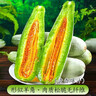 京鲜生 山东羊角蜜甜瓜 净重4.5斤起 单果300g+ 生鲜水果源头直发 实拍图