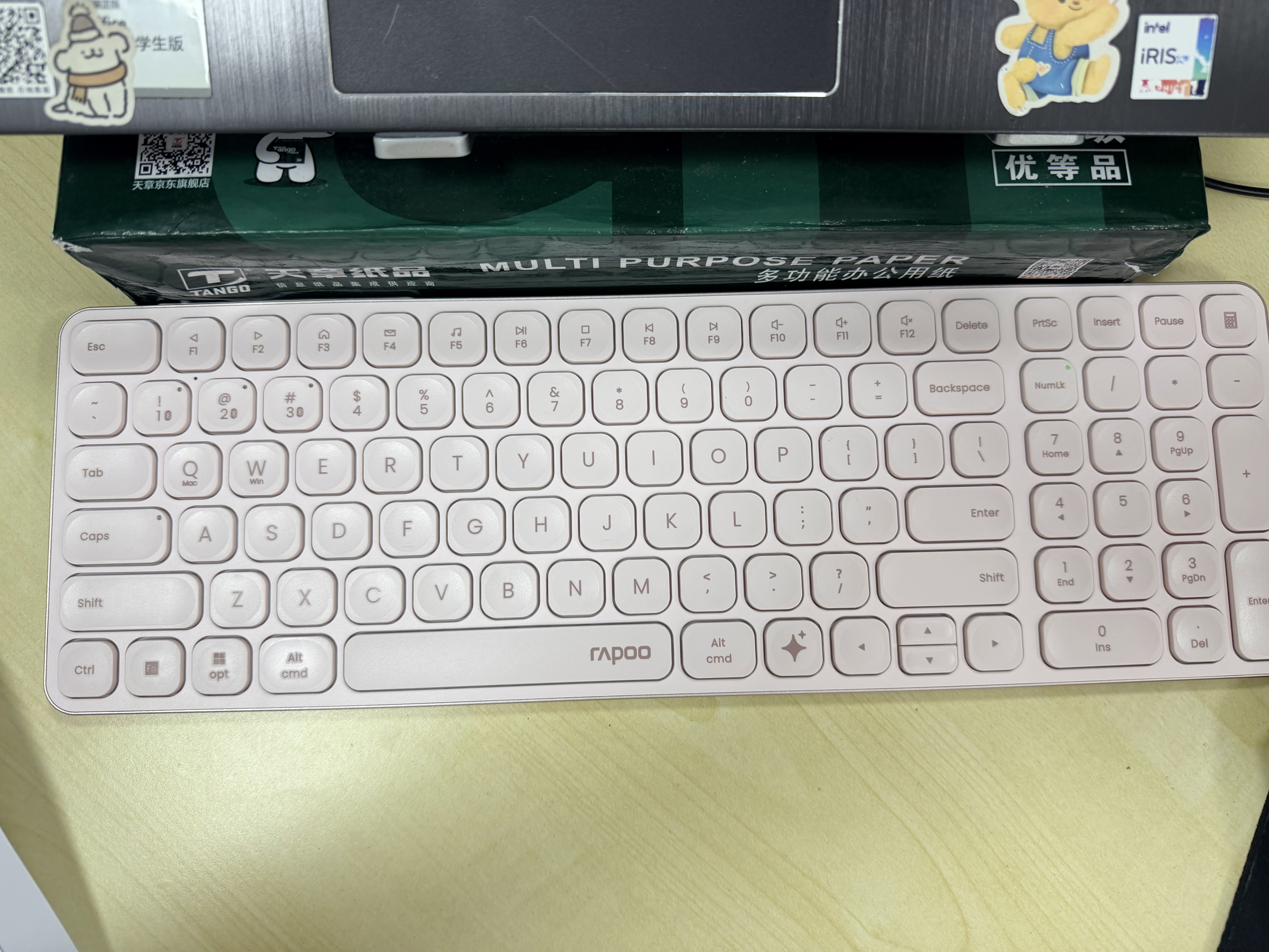 雷柏（Rapoo）E9350L AI版 99键无线/蓝牙多模充电键盘 刀锋超薄便携紧凑无线办公键盘 一键直达DeepSeek 樱粉 实拍图