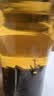 白沙溪湖南安化黑茶金花茯茶特制茯砖茶800g经典款升级版 当年茶升级版（买一赠一） 实拍图