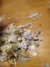 至鲜吕四龙利鱼三去切块净重400g约12-15块海捕天然海鲜黄海纯鱼肉 实拍图
