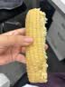 佳农内蒙白甜糯玉米棒8袋*220g 真空锁鲜 源头直发 包邮 生鲜礼盒 实拍图