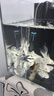 宠翰鱼盐鱼缸清洁盐观赏鱼水族盐海盐净化水质养鱼用品2斤 实拍图