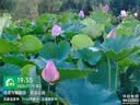 荣耀Play10T 5G AI手机 7000mAh大电池 金标抗摔超强防水 AI 一键直达 12+256 天海青 国家补贴 实拍图