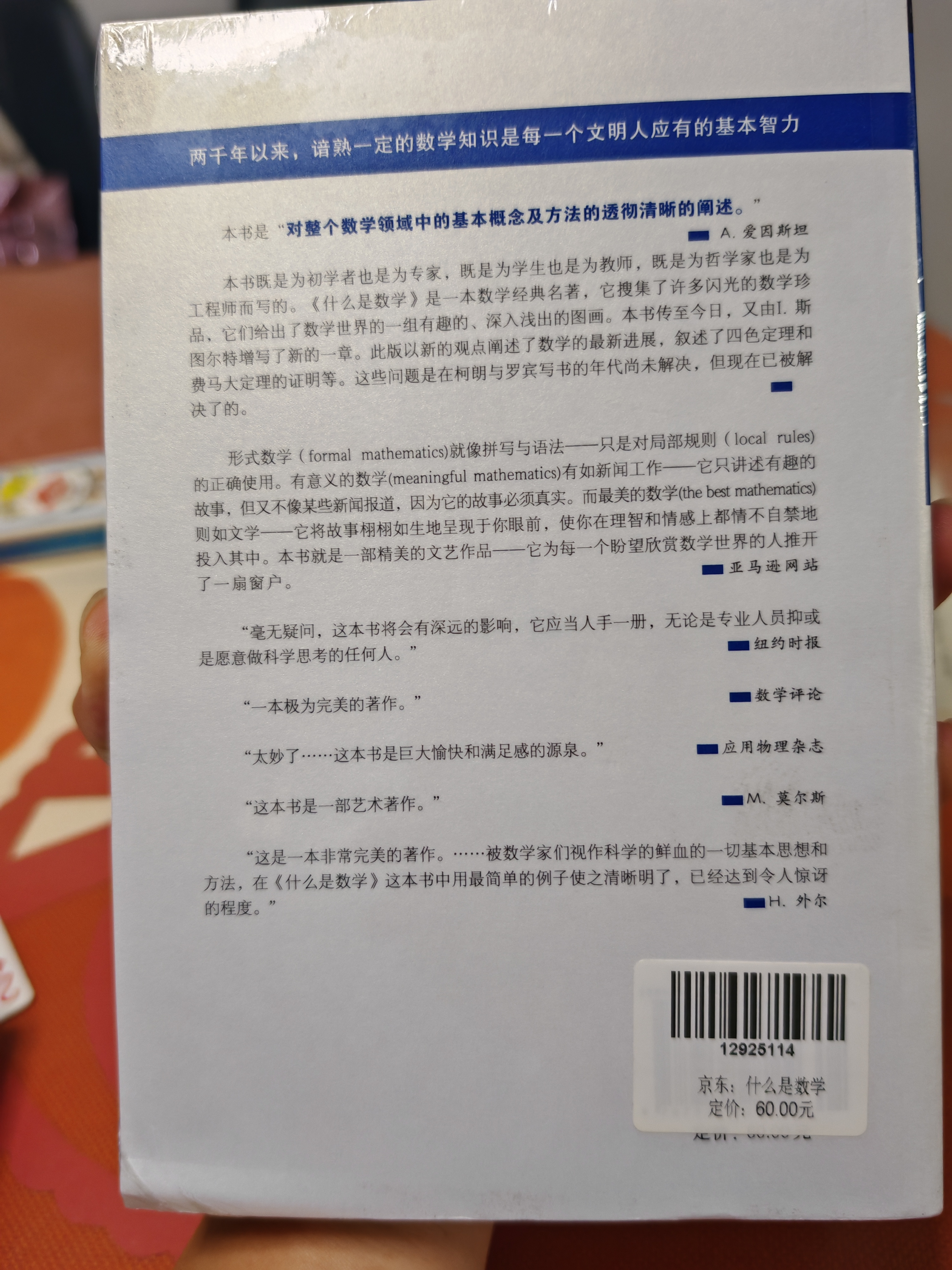 什么是数学：对思想和方法的基本研究（第4版）豆瓣高分数学科普读物 复旦出版 实拍图