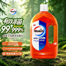 威露士（Walch）消毒液2L衣物除菌液灭甲流感病毒消毒水家居卫生宠物杀菌非84酒精 实拍图