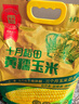 十月稻田 黄糯玉米 8根 3.52斤 真空包装 东北甜粘玉米棒 低脂早餐 实拍图