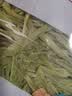 七鲜【火锅季】七鲜 嘎嘣脆贡菜干60g（天气热可能导致发黄） 实拍图