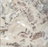 冻品先生 安井 蒜香小排 350g 1包 腌制猪肉猪肋骨方便菜 半成品快手菜 实拍图