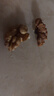 楼兰蜜语云南老树纸皮核桃1500g/箱原味 新货零食纸皮节日送礼每日坚果 实拍图