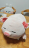 名创优品（MINISO）墩墩鸡dundun可爱毛绒玩偶大号公仔陪伴睡觉搞怪抱枕恶搞生日礼物 小猪B-BO（37*23cm) 见详情 实拍图