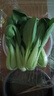 【24小时菜】富硒小油菜200g 实拍图