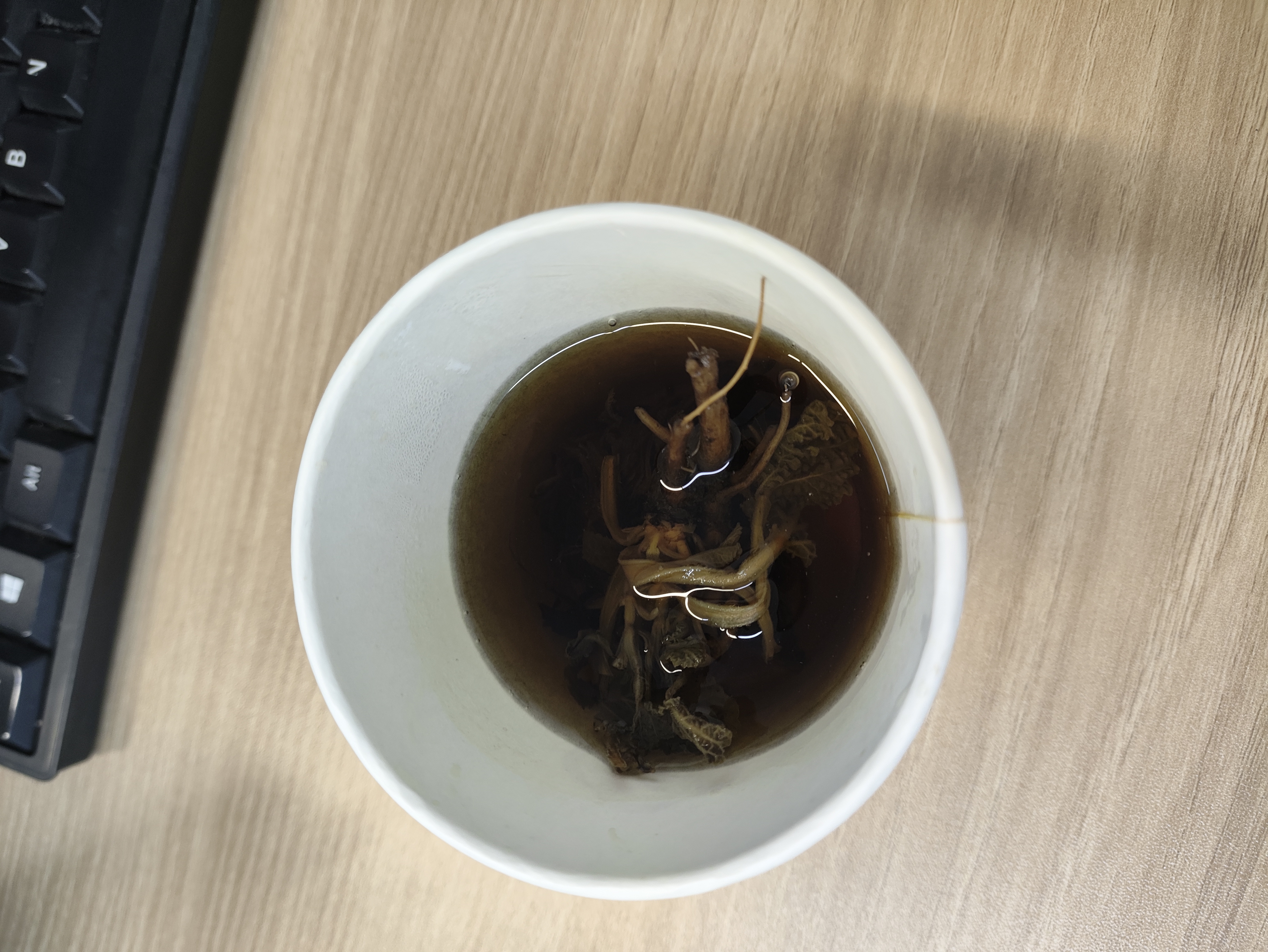 太守堂 蛤蟆草250克 癞蛤蟆草干雪见草荔枝草幼苗干品整颗新货 实拍图