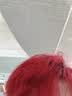 施华蔻（Schwarzkopf）斐丝丽泡泡染发剂6-88波尔多红 红色染发泡泡潮流彩染男女通用 实拍图