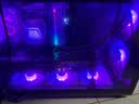 微星（MSI）MAG F120 ARGB-1B 黑色正叶单包风扇 一线直连微星主板/微星专属灯效 实拍图