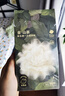 babycare山茶花夏季轻薄款一次性内裤女孕妇产后出差旅行日抛免洗XL码 4条 实拍图