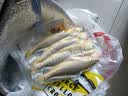 黄小渔宁德三去黄花鱼600g/4条大黄鱼生鲜海鲜水产深海鱼类清蒸烧烤 实拍图