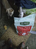 麦富迪狗粮 藻趣儿狗粮成犬粮牛肉螺旋藻 均衡营养7.5kg/15斤 实拍图