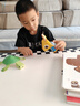 艾杰普（JEPPE）儿童折纸玩具手工diy免裁剪3d立体折纸动物造型男女3-6生日礼物 实拍图