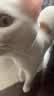 皇家猫粮 成猫猫粮 室内长毛猫 ILH35 通用粮 1-7岁 4.5KG 实拍图