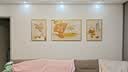 Sixpoetry 客厅装饰画现代简约沙发背景墙壁画轻奢三联晶瓷画大气高档挂画 万事如意（铝合金外框） 晶瓷画左右50*70+中间100*70亮面 实拍图
