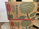 农夫山泉东方树叶茉莉花茶500ml*15瓶无糖茶饮料0糖0脂0卡整箱装 实拍图