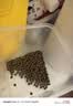 冠能猫粮7岁以上老年猫猫粮2.5kg 全价猫粮 延长健康生活时间 实拍图