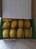 佳沛（zespri）新西兰阳光金奇异果 8个装 特大果单果重约124-146g 水果猕猴桃 实拍图