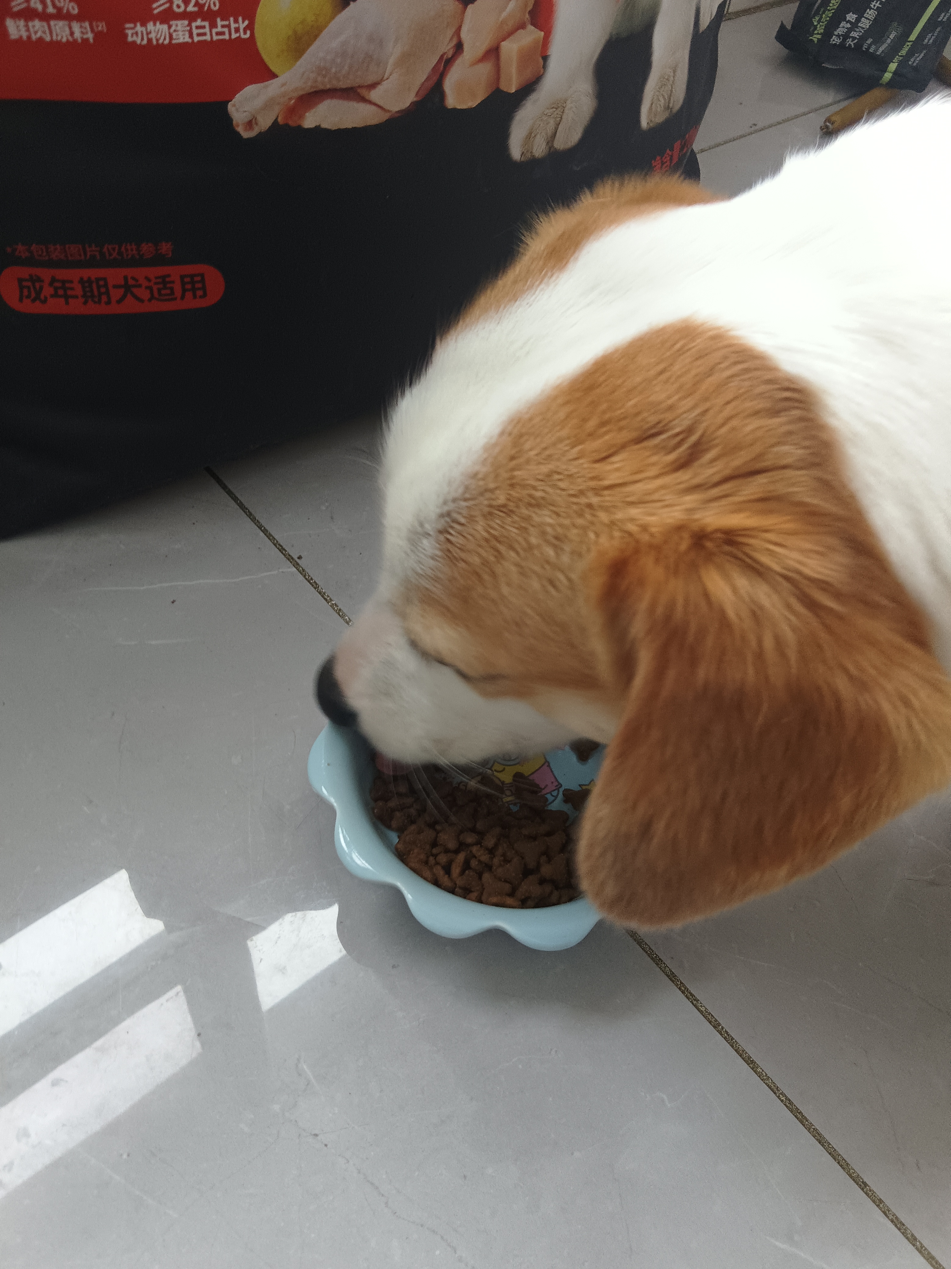 力狼狗粮 纯然金毛阿拉斯加40拉布拉多萨摩耶马犬德牧中大型犬粮 【52%肉含量 | 成犬2.0】鸭肉梨20kg40斤 实拍图