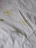 LOVO罗莱 夏被子 A类抗菌防螨夏凉被纤维被空调被 2.4斤200*230cm 实拍图