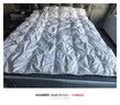 匈牙利正品羽绒被95白鹅绒100%冬被五星级酒店加厚保暖抗菌春秋被 纯洁白静音120支全棉白鹅绒 150*200cm【春秋被充绒800g】 实拍图
