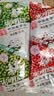 光明牌 盐水棒冰芭乐经典老上海冰棍 冰淇淋 冷饮雪糕老冰棍绿豆棒冰 绿豆棒冰92g*17支+赤豆棒冰92g*17支 实拍图